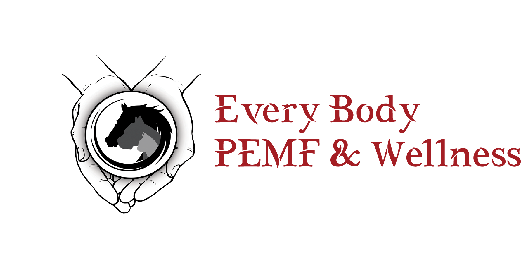 Everybody PEMF and wellness